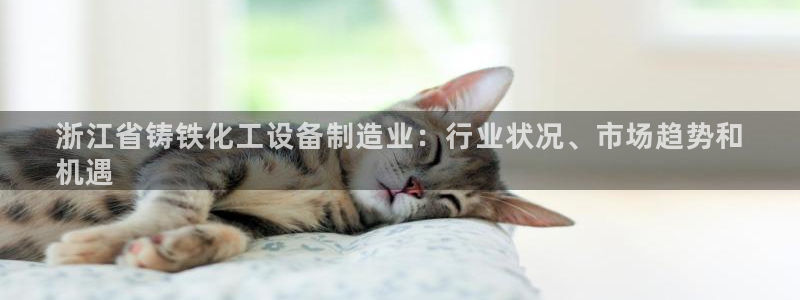 门徒娱乐公司介绍