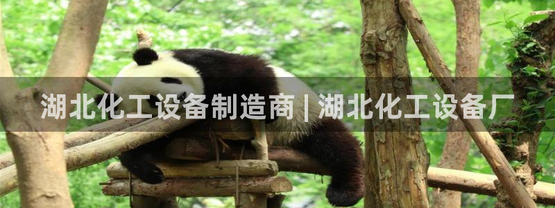 门徒娱乐项目