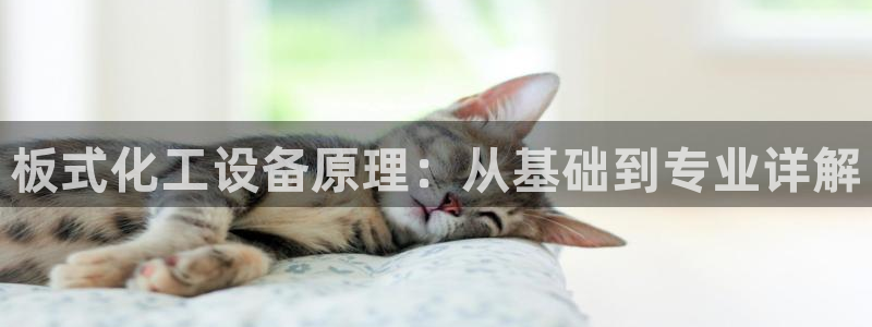 门徒娱乐负责人