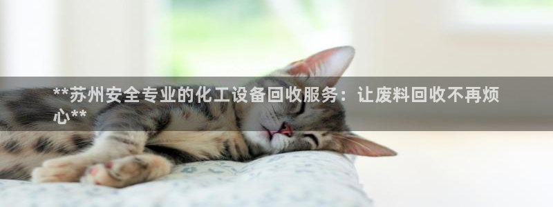 门徒娱乐财神联盟在线观看