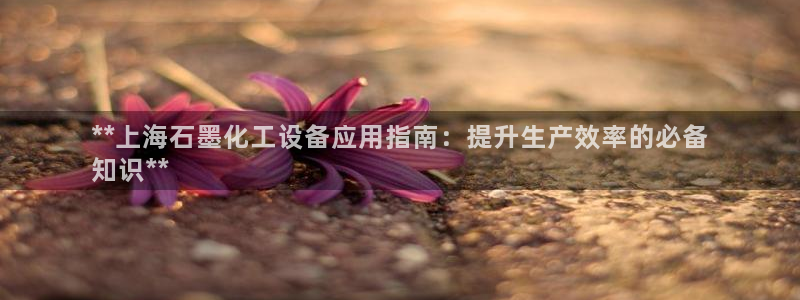 门徒娱乐创始人简介是谁