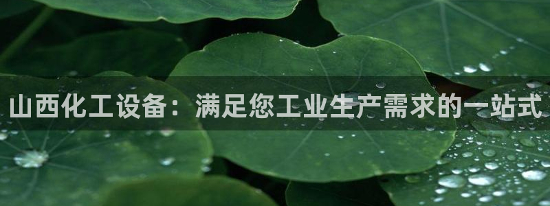 门徒娱乐平台登录1990官网