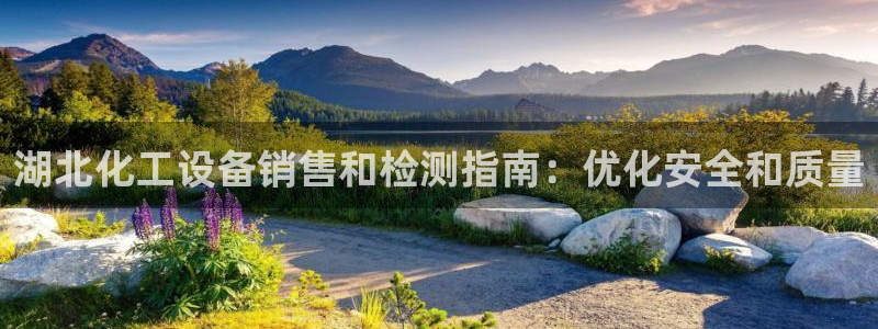 门徒平台官网首页