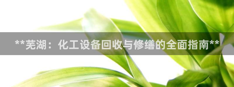 门徒娱乐最新版本更新内容