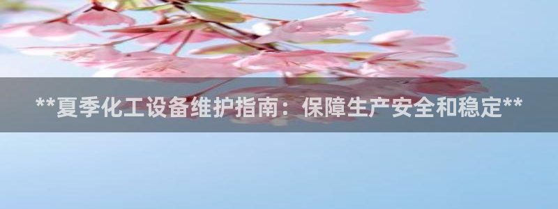 门徒平台注册登陆不上怎么回事