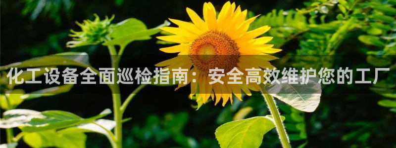 门徒平台官网首页入口