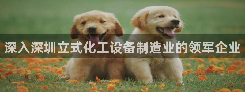门徒娱乐成功案例