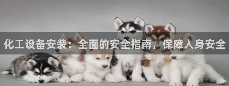 门徒娱乐是正规的嘛