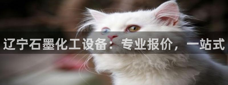 门徒平台官方网站