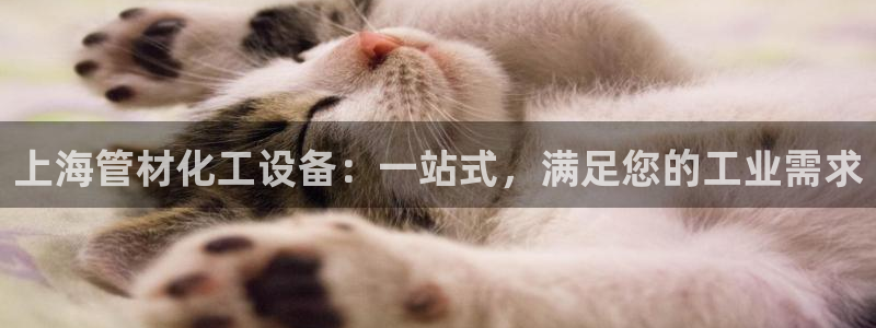 门徒娱乐平台登录