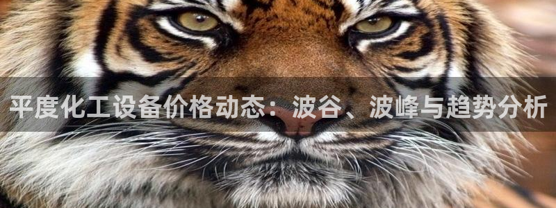 门徒平台地址