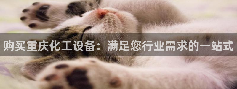 门徒娱乐好吗