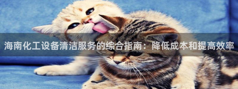 门徒娱乐登录地址在哪查询啊
