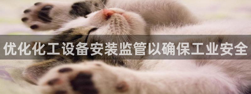 门徒娱乐平台代理怎么做