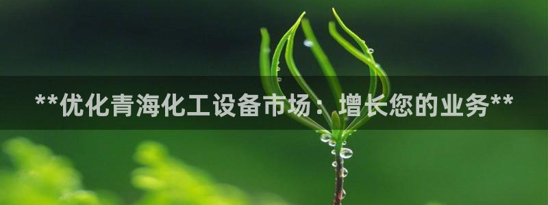 门徒娱乐的客服服务
