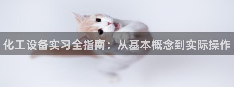 门徒娱乐项目介绍