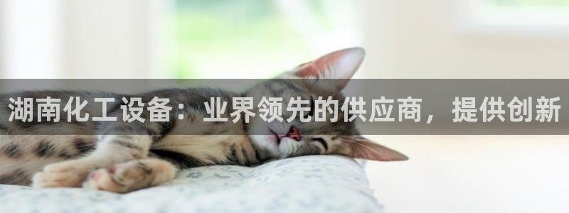 门徒平台下载