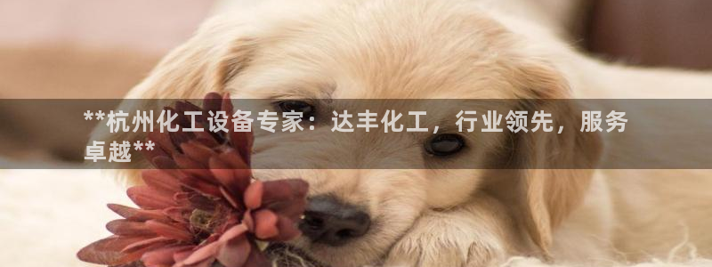 门徒平台注册中心电话