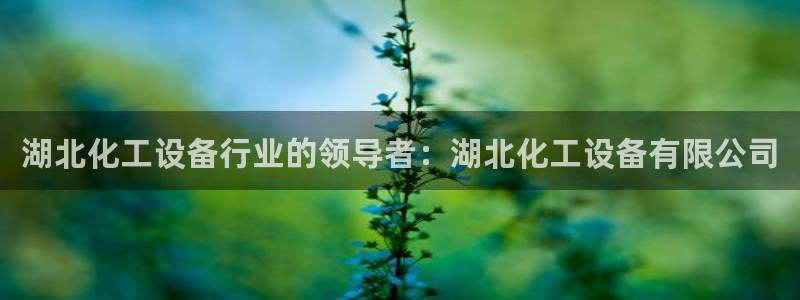 门徒平台测速网址是什么