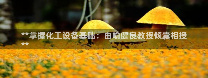 门徒平台是哪里的