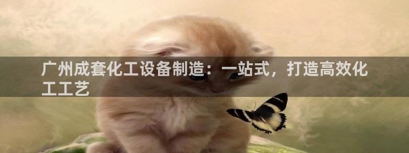 门徒娱乐服务器在哪里