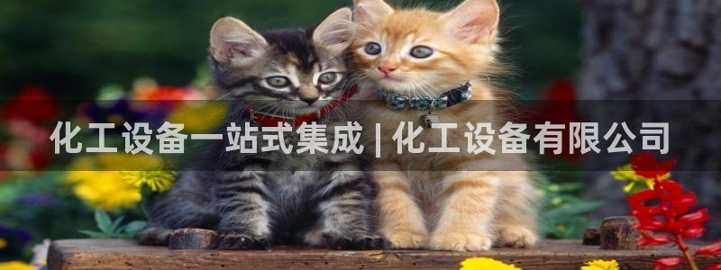 门徒平台怎么样