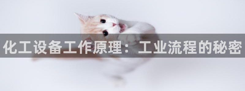 门徒娱乐注册官网
