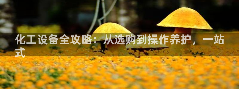 门徒平台上级