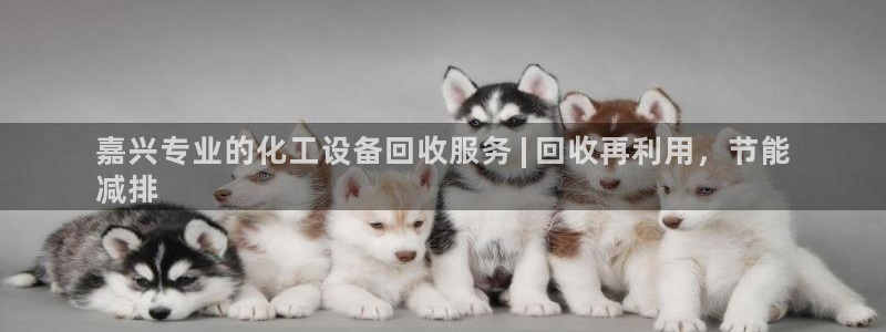 门徒平台登录步骤图