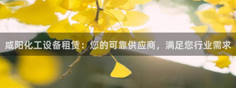 门徒娱乐官网首页：咸阳化工设备租赁：您的可靠供应商