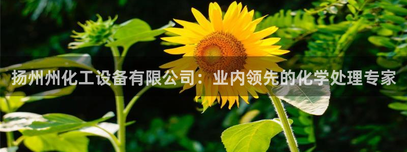 门徒平台家 5O6917 门徒