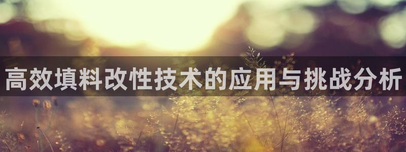 门徒平台中心链接：高效填料改性技术的应用与挑战分析