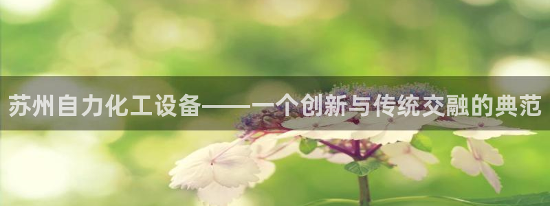 门徒平台寻 585341 门徒：苏州自力化工设备——一个创新