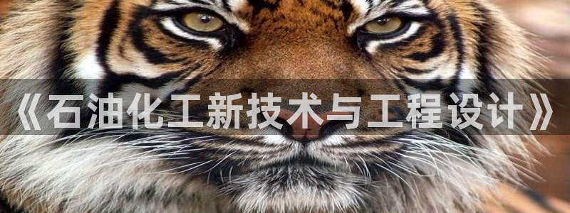 门徒平台使用技巧