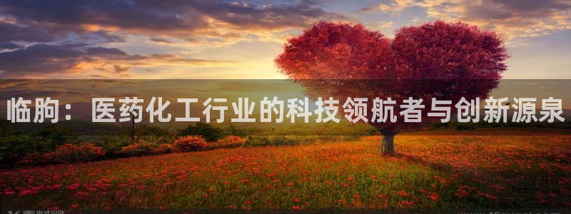 门徒娱乐的创始人背景