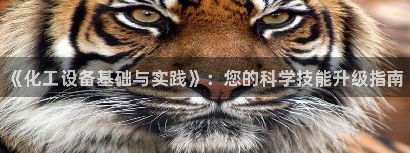 门徒娱乐入.门徒娱乐.几年了.长久.中国