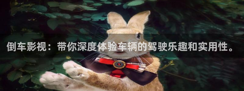 依依影院：倒车影视：带你深度体验车辆的驾驶乐趣和实用性。