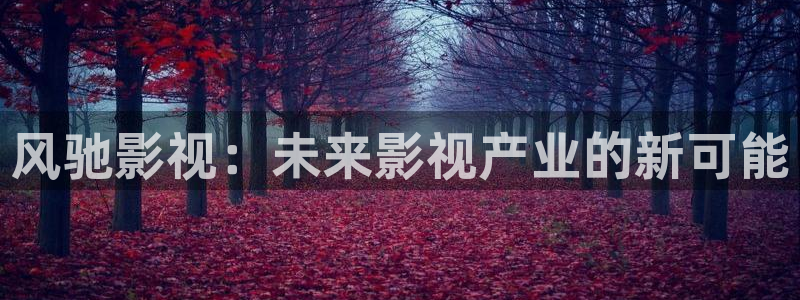 亚洲依依成人影院精品