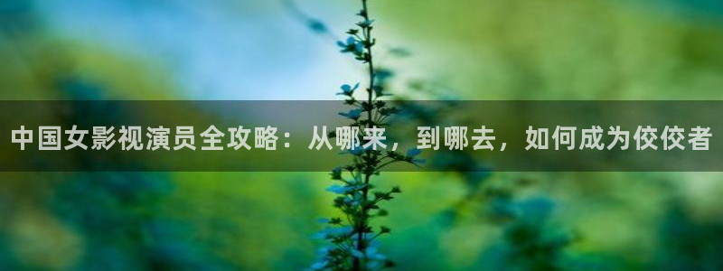 依依成人在线电影院