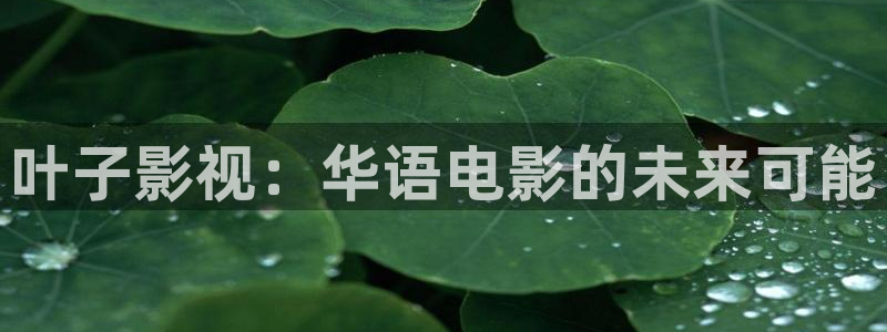 依依视频：叶子影视：华语电影的未来可能