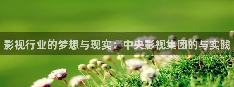 依依影院视频：影视行业的梦想与现实：中央影视集团的与实践
