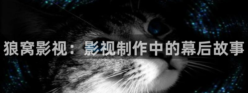 依依影院俺去啦：狼窝影视：影视制作中的幕后故事