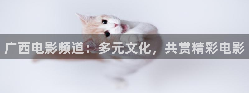 依依电影av：广西电影频道：多元文化，共赏精彩电影