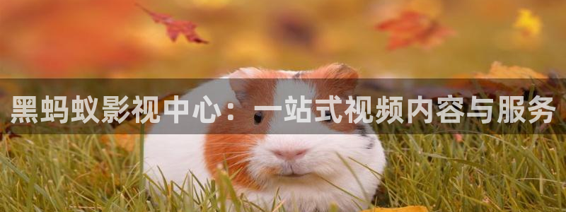 依依影院视频：黑蚂蚁影视中心：一站式视频内容与服务