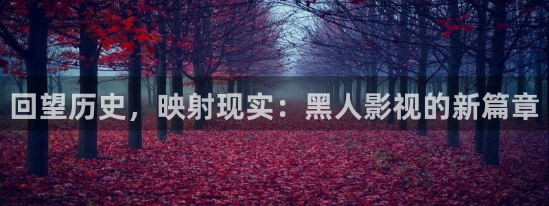午夜依依成人影院：回望历史，映射现实：黑人影视的新篇章
